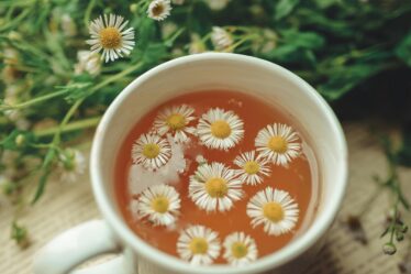 Rumianek w ciąży - czy można pić?