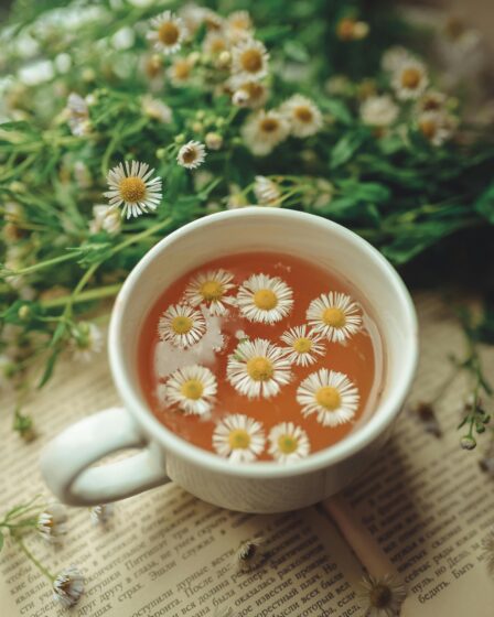 Rumianek w ciąży - czy można pić?