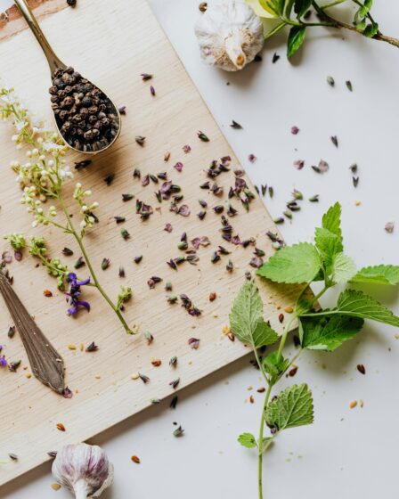 Czy można pić melisę w ciąży?